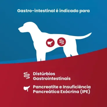 Racao Vet Life Natural Canine Gastrointestinal 2